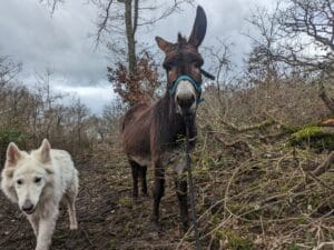 PXL 20240209 095133651