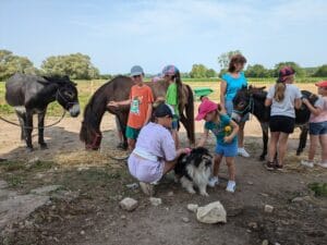 PXL 20240730 084417600