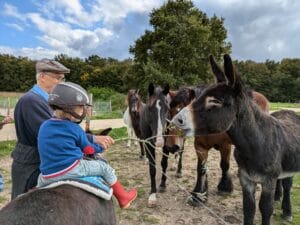 PXL 20241010 125757582