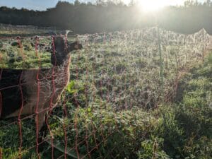 PXL 20241016 073402950 1