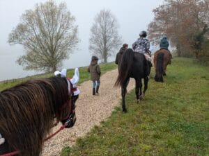 PXL 20241130 104217518