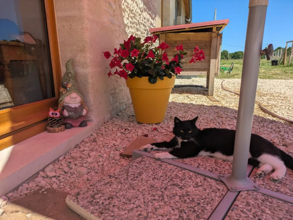 PXL 20250530 120303542