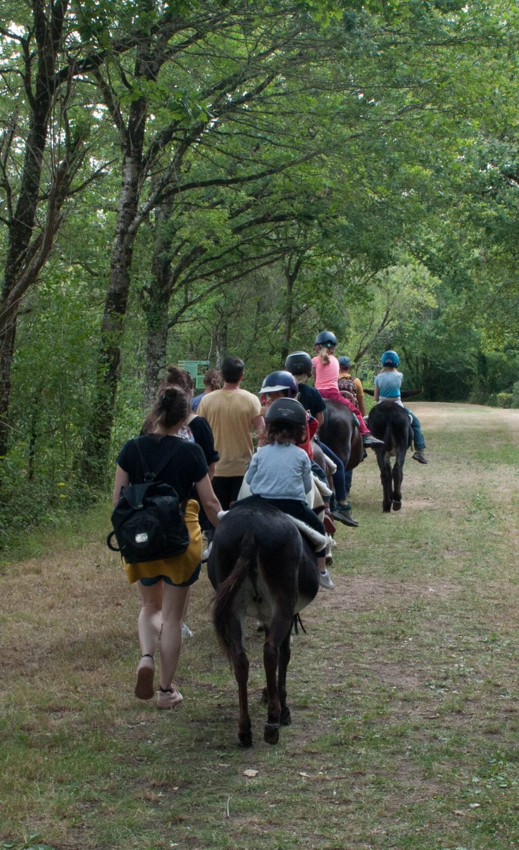 Balade à poneys et à dos d'ânes le long du bois du plean d'eau de Saint-Genou