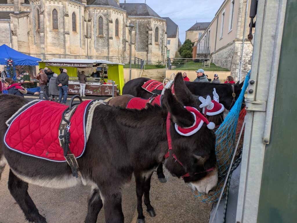 Balades à poneys et à dos d'ânes pour les collectivité (marché de Noël de Buzançais)