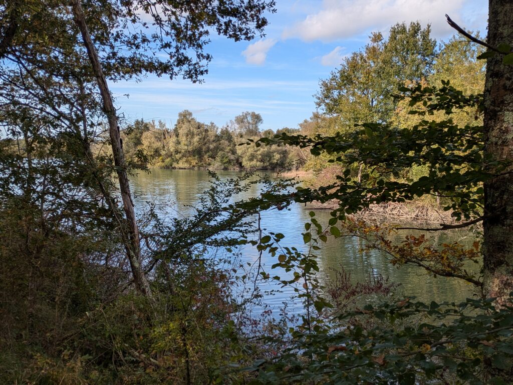 Vue sur le plan d'eau de Saint-Genou