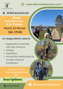 Stage chevaux 1