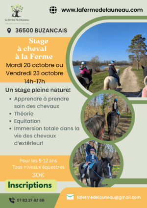 stagecheval